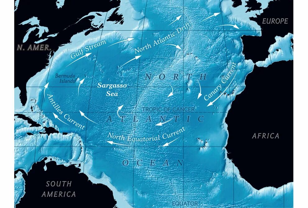 Море не имеющая границ. Саргассово море на карте. где саргассово море на карте. море без берегов в атлантическом океане.
