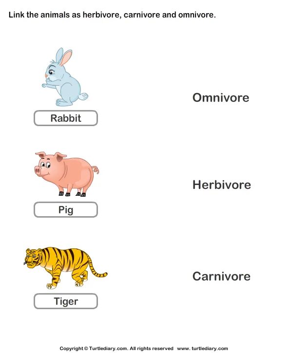 Carnivore перевод. Herbivore Carnivore Omnivore Worksheet. Food Chain Worksheets. Food Chain Worksheet for Kids. Food for animals Worksheets.