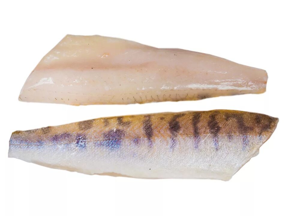Мясо рыба кости. Филе судака 400+. Судак рыба филе. Филе судака с/м. Филе судака 200-400.