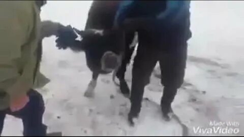 Жестокая нарезка