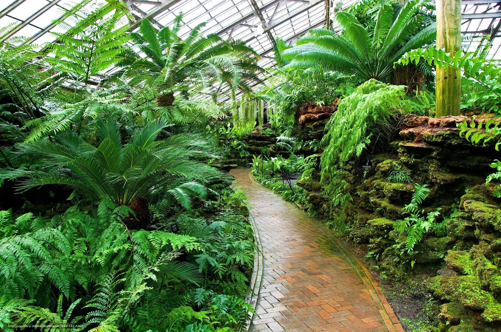 Оранжерея Иркутск. Ботанический сад Botanical Garden. Ботанический сад оранжерея с пальмами. Оранжерея субтропики Сингапур.