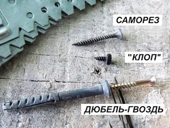 Дюбель клоп