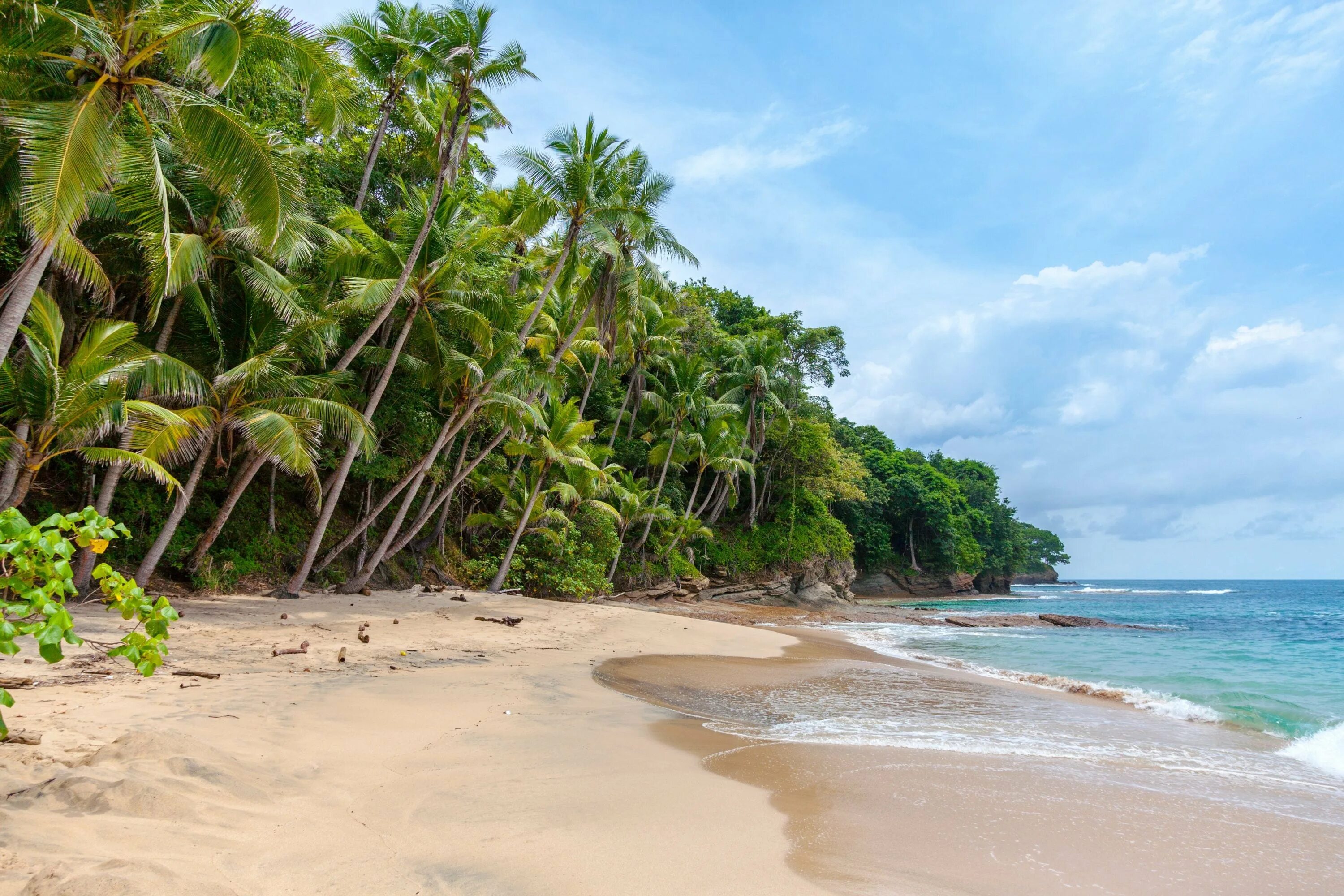 Шри 12. Шри Ланка океан. Шри Ланка джунгли. Необитаемые острова Карибского моря. Панама Карибы.