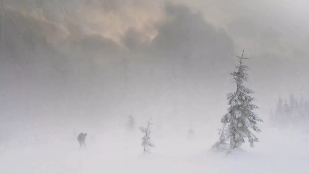 Вой вьюги метели. Метель вьюга Пурга Буран. Сильная метель. Снежный Буран. Зимняя буря.