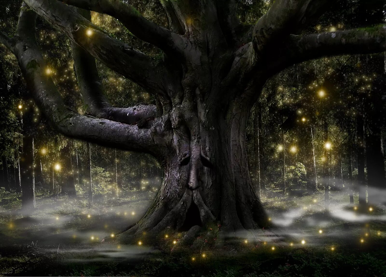 Дерево фэнтези. Fantasy tree. Магическое дерево. Фэнтези пейзажи. Фэнтези пейзажи.