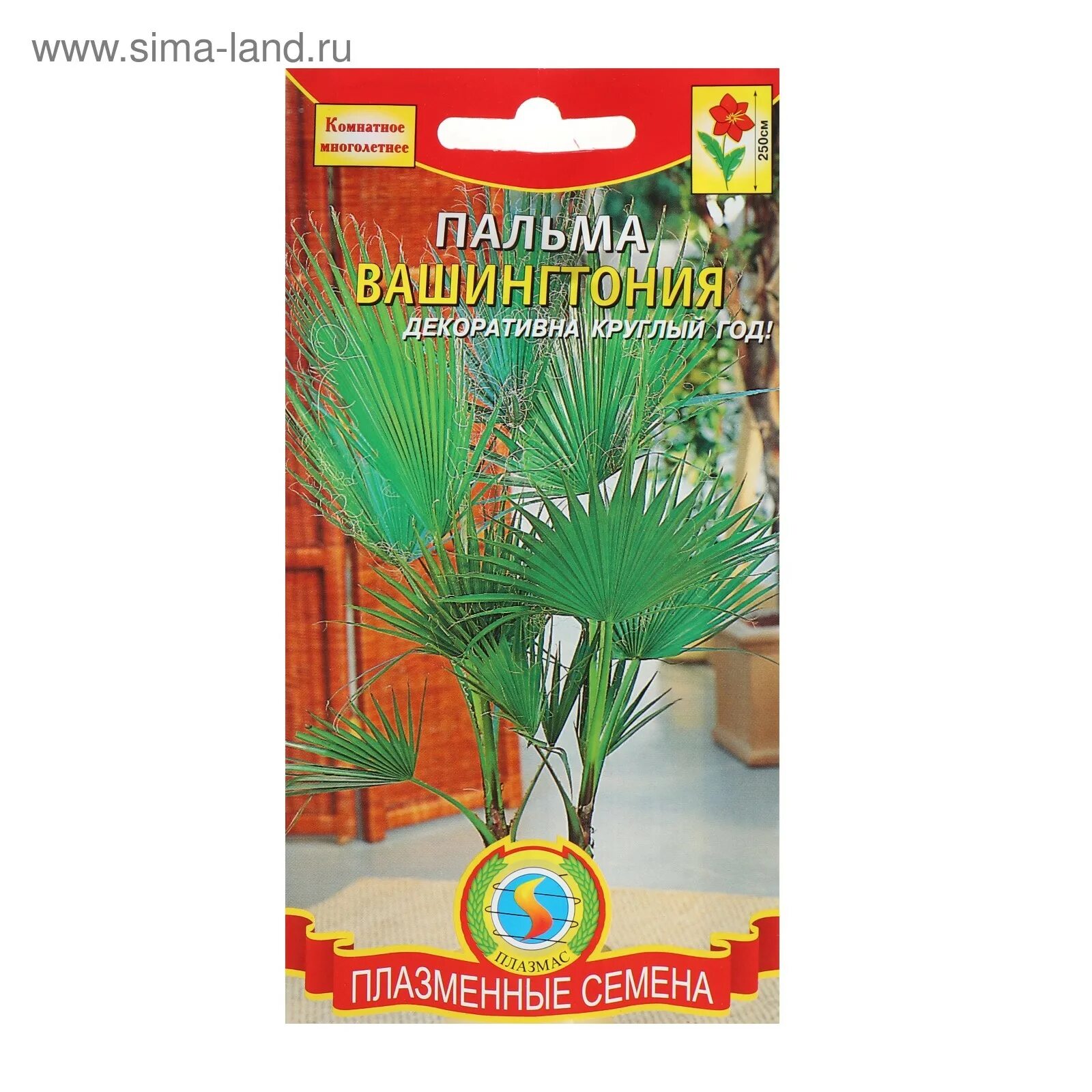 Семена комнатных растений наложенным платежом. H11 (гавриш) ц. Семена комнатных растений интернет. Цикламен аэлита. Семена комнатных растений аэлита.