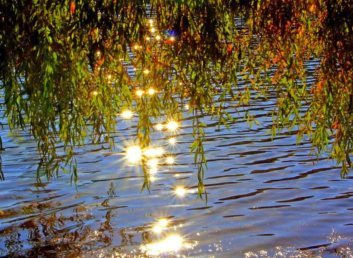 Солнечный зайчик. Солнечные блики на воде. Блики на воде анимация. Блики солнца на воде. Вода едва блестела в реке