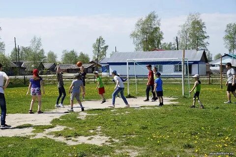 Погода в сайге