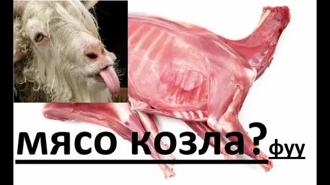 Мясо козла вкусное или нет