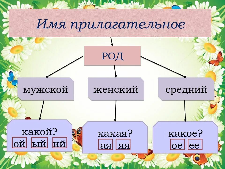 Род мужской разбор. Род имен прилагательных. Род имениприлагательных. Род имён существительных и прилагательных 3 класс. Окончания имен прилагательных по родам.