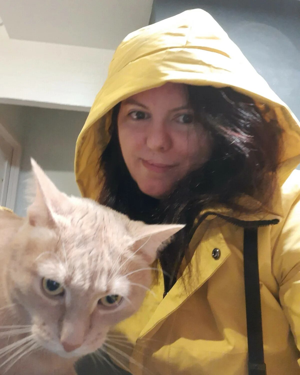 Скизи мазонкин новое дзен. Нелепица фото. Скизи мазонкин новое дзен. Скизи мазанкин кот. Скизи мазанкин кот.