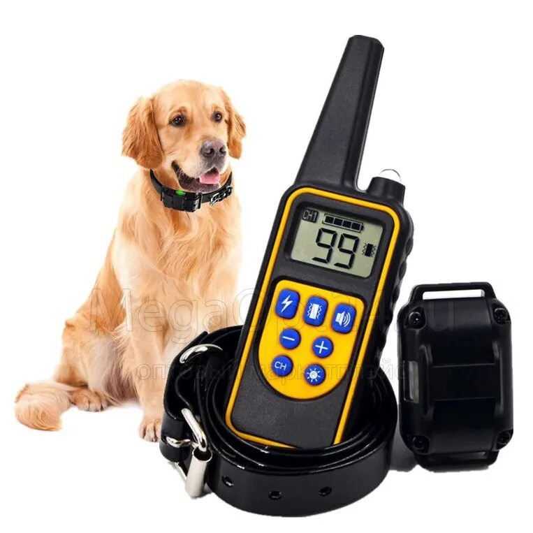 Электроошейник Dog Training colar rt880.. Электронный ошейник для дрессировки собак Dog Training Collar t166. Электроошейник зв520. Rechargeable and Waterproof ошейник. Купить ошейник для дрессировки собак с пультом