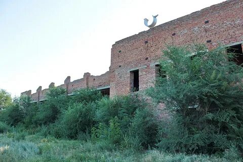Стар пос
