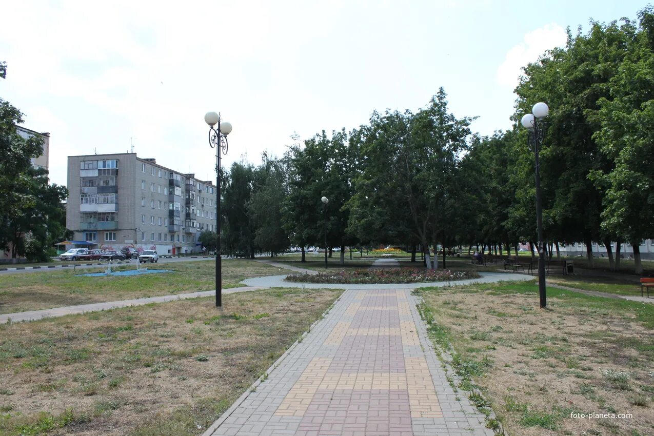 Разумное создание: найдено 89 изображений