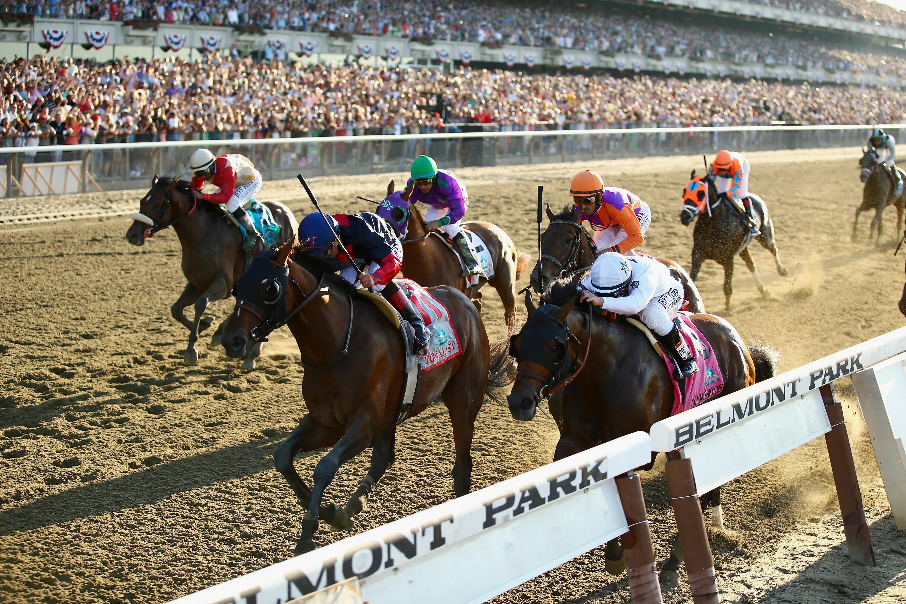 Crown run. Джастифай жеребец. Лошади спорт. Crown run. Скаковая лошадь.