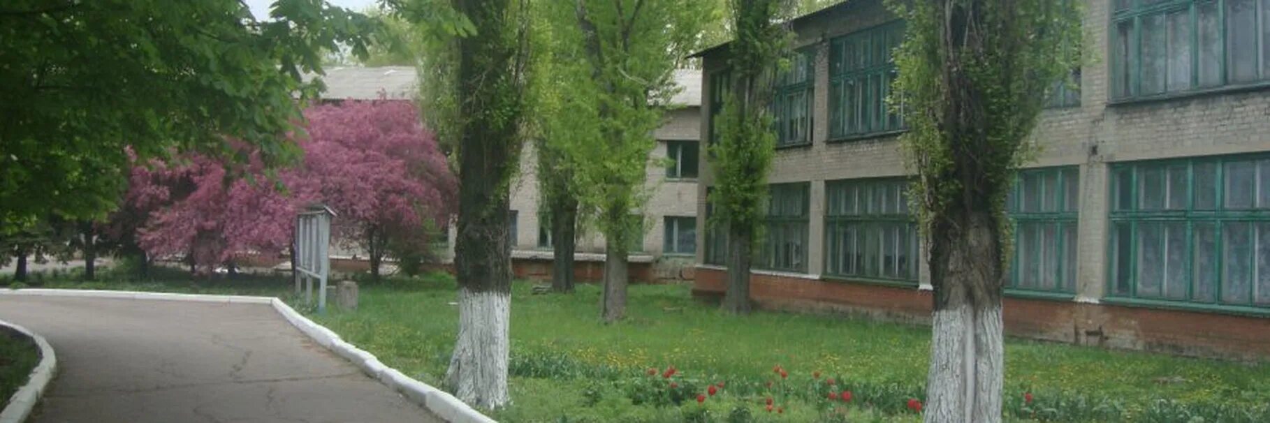 Спту 19