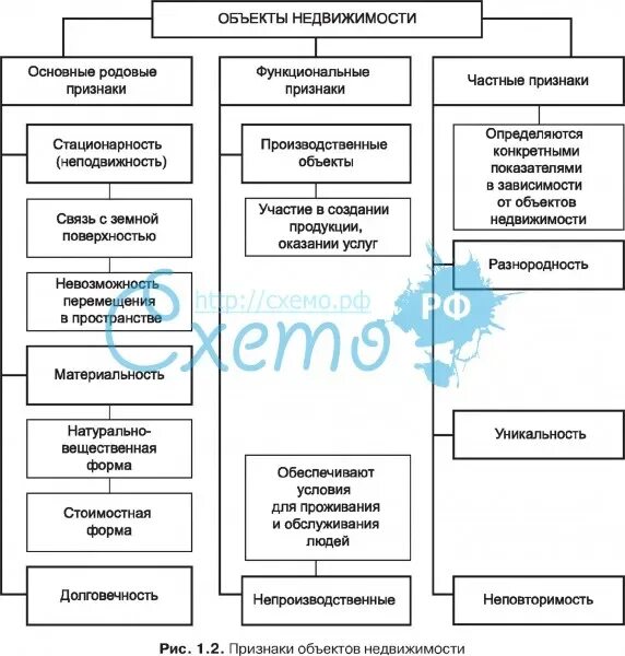 Общие и частные признаки объекта. Признаки объектов недвижимости. Родовой признак объекта недвижимости. Функциональные признаки объектов недвижимости. Родовые признаки объекта недвижимости.