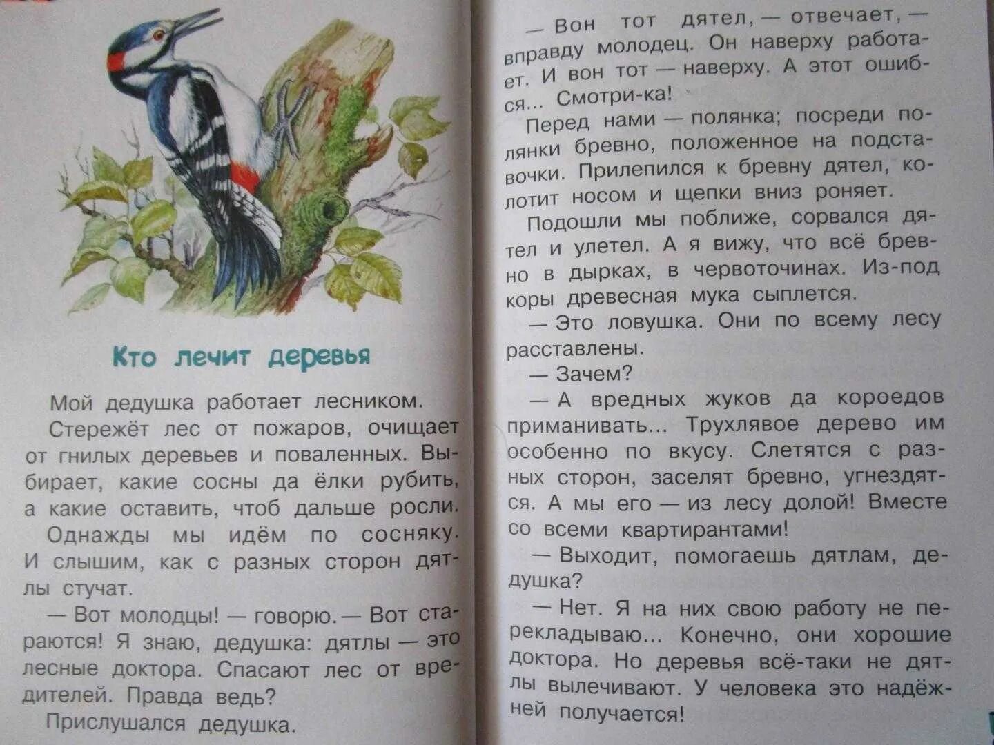 Интересные рассказы о природе. Любой рассказ о природе. Небольшой рассказ о природе. Короткие рассказы о природе.