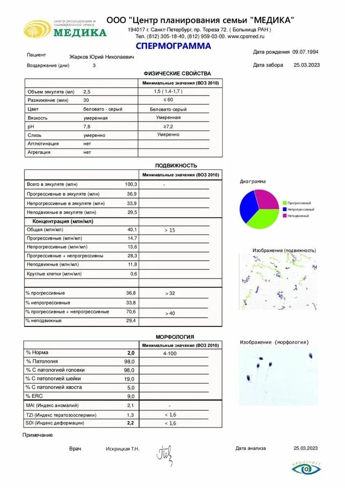 Как выглядит результат спермограммы. Спермограмма. Спермограмма. Спермограмма при простатите. Спермограмма для определения простатита.