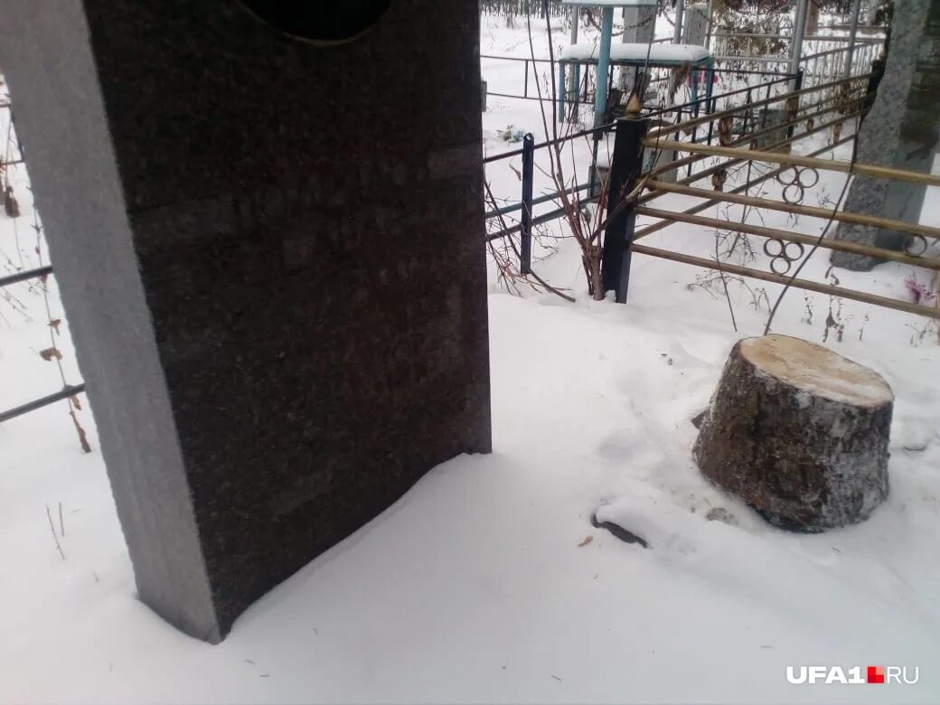 новогодние украшения на кладбище. елка на кладбище на новый год. елка на кладбище. ставят ли елку на кладбище. новогоднее кладбище.