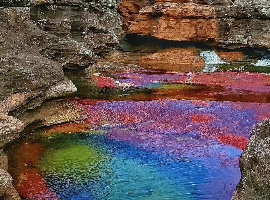 Lake colour. Каньо Кристалес. Река Каньо Кристалес. Каньо-Кристалес Колумбия. Радужная река Каньо Кристалес.