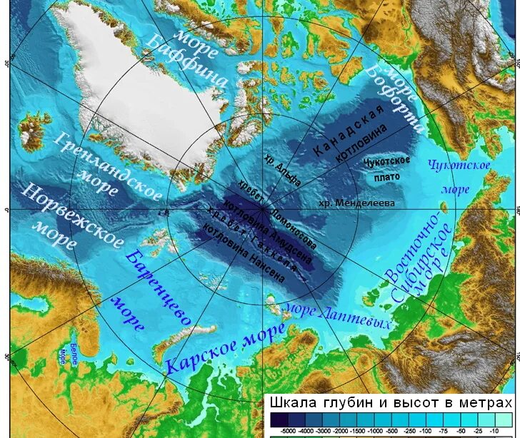 Северный ледовитый океан максимальная глубина. Хребты Гаккеля Ломоносова и Менделеева. Котловина Амундсена на карте. Котловины Северного Ледовитого океана на карте. Рельеф дна морей Российской Арктики.