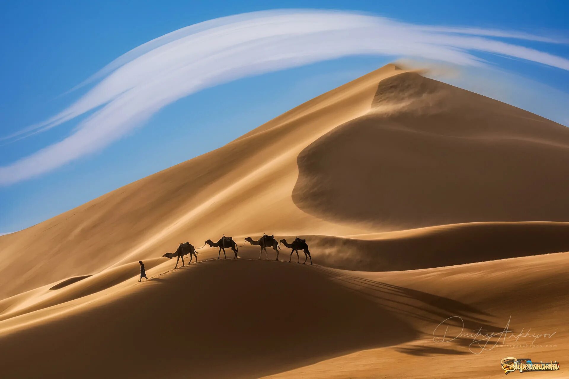 Фототур в Марокко. Пейзаж пустыни Кызылкум. Верблюд в пустыне.