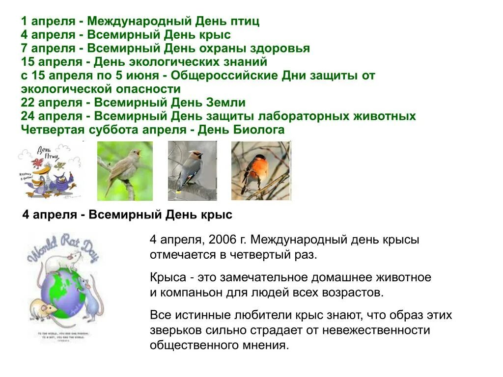 Сегодня международный день чего. Всемирный день крысы 4 апреля. 4 Апреля праздник день крысы. 15 Апреля день экологических знаний. Когда Всемирный день крысы.