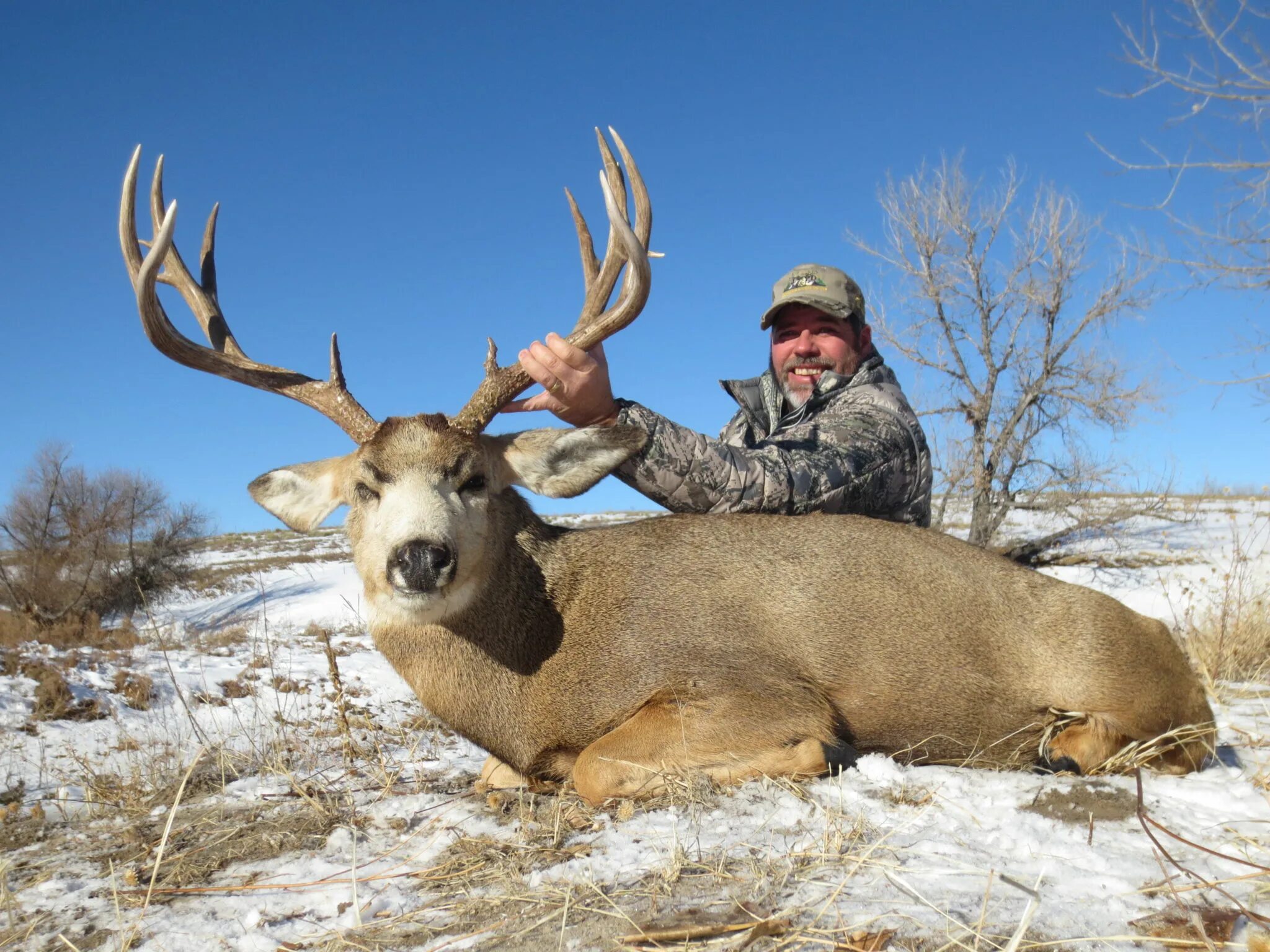 Deer hunting near moscow. Hunting range. Hunting range. Хант пант. Hunting range.
