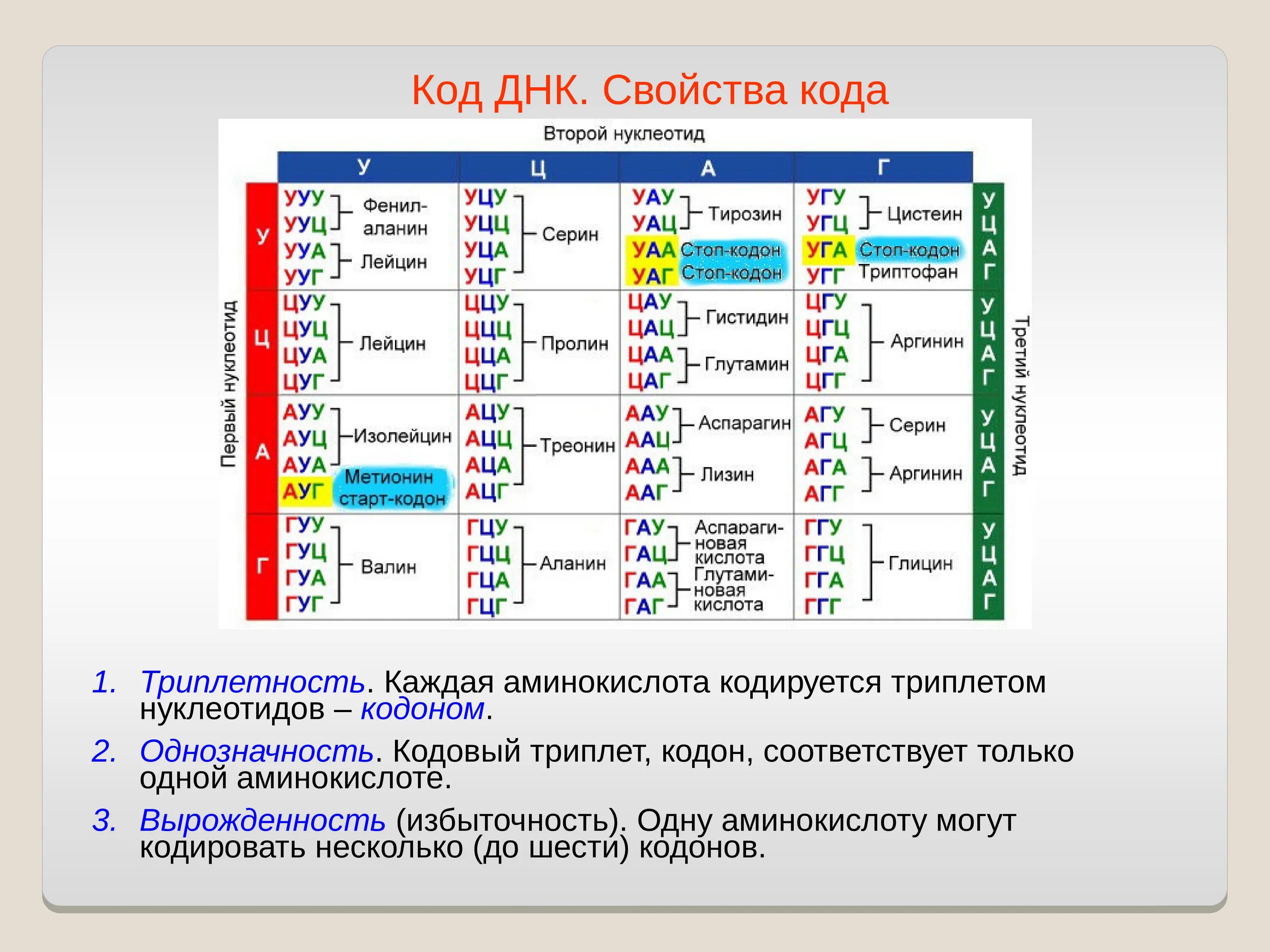 Свойства ген кода. Таблица 64 кодонов ДНК. Генетический код 64 триплета. Код ДНК старт кодон. Кодон состоит из 3 нуклеотидов это.