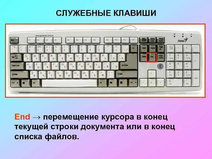 Какая клавиша переводит клавиатуру