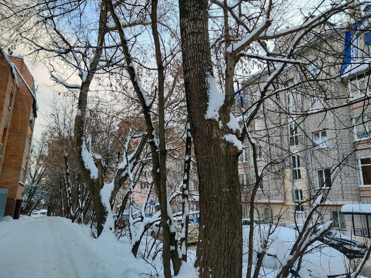 Калуга февраль ветра. Погода калуга февраль