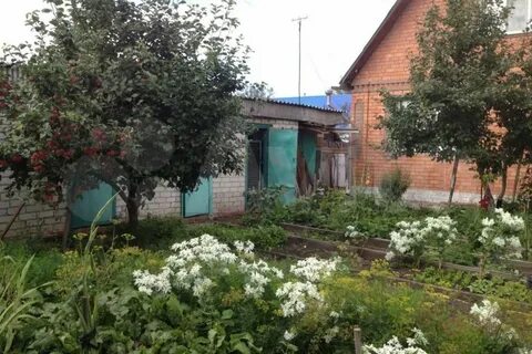 Авито ишим бесплатные объявления от частных