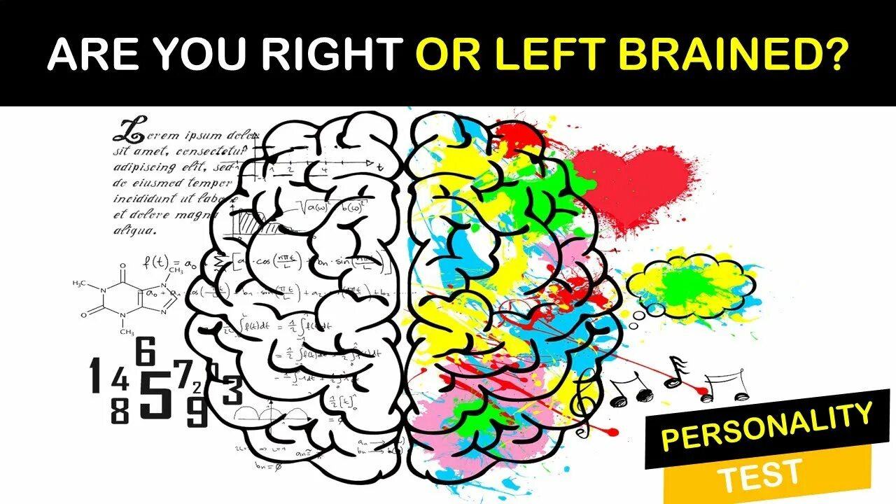 Right brained left brained. Right or left brain. left brain vs right brain. what is left and right brain. left or right.