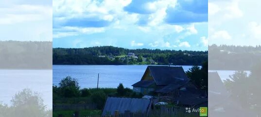 Полново селигер. Полново селигер. Селигер озеро полново. Деревня полново на селигере. Погода в полново.