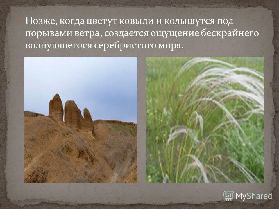 Под порывами. Снегопад во владивостоке. Снег во владивостоке. Под порывами. Снежная буря и автомобиль.