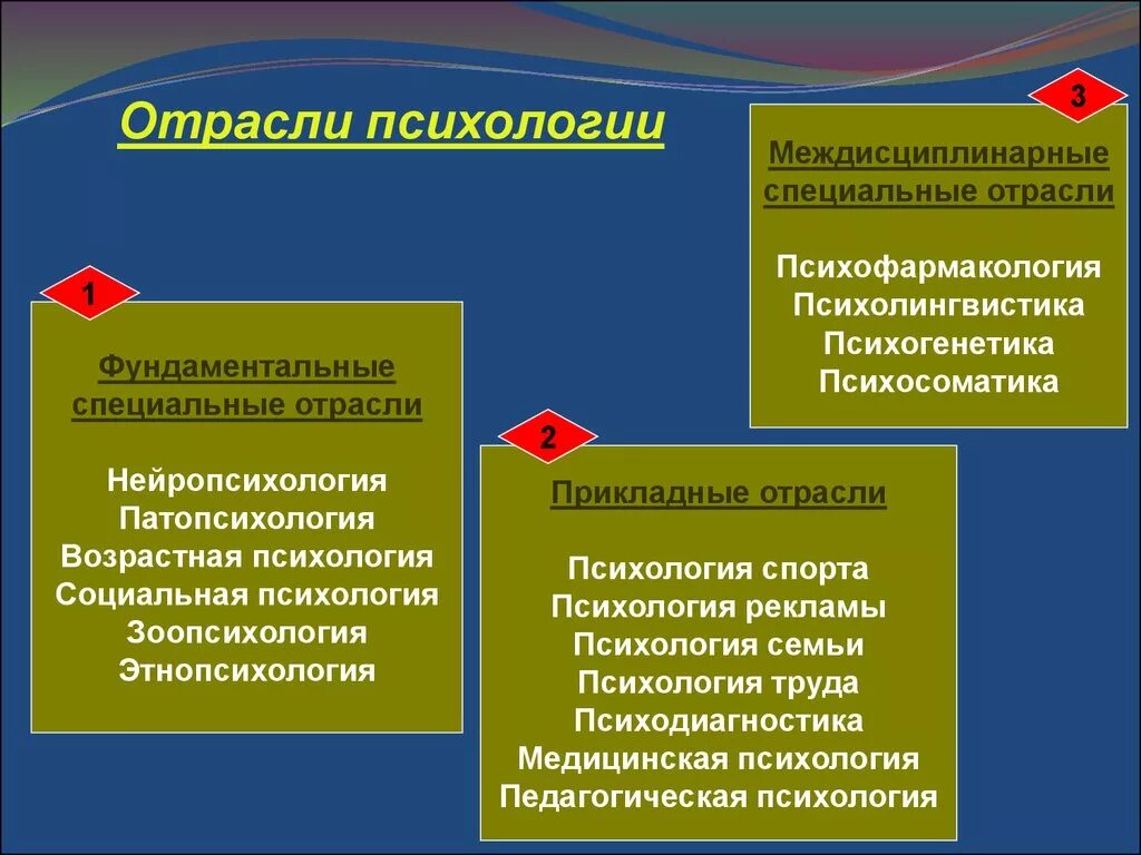 Отраслевая дисциплина. Отрасли прикладной психологии таблица. Прикладные отрасли психологической науки. Охарактеризуйте фундаментальные и прикладные отрасли психологии. Отрасли современной психологии.