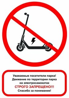 Не смотря на запрет