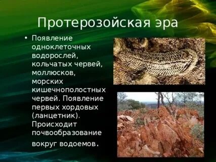 Эра когда появились одноклеточные 7 букв