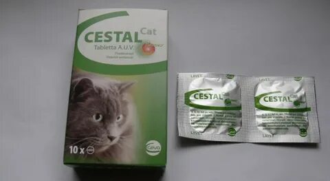 Цестал для кошек