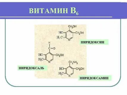 Пиридоксин в6