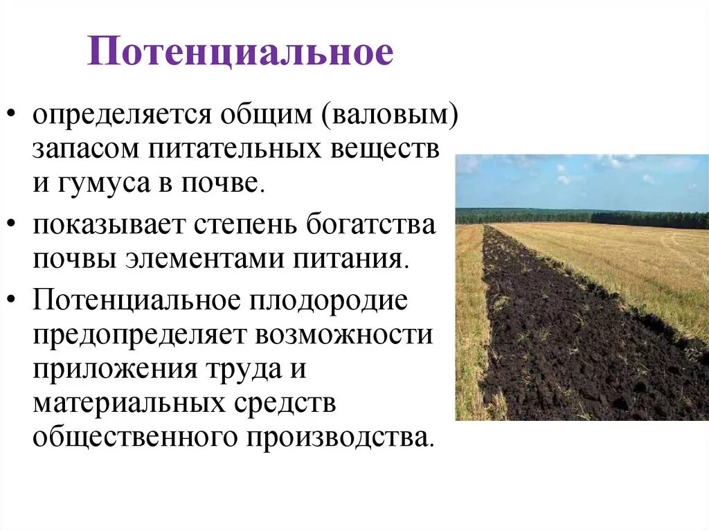 Степень плодородия почв. Потенциальное плодородие почвы определяется. Степени увеличения естественного плодородия почв. Степень плодородности почвы. Главное богатство железные руды и плодородные почвы