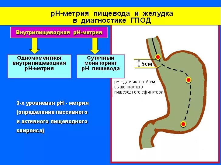 Исследования пищевода и желудка. РН метрия пищевода показатели. Показатели РН метрии желудка. РН-метрия (исследование кислотообразующей функции желудка). Суточная РН-метрия пищевода и желудка.