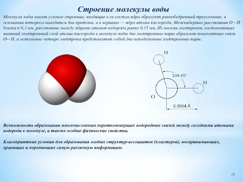 Угловое строение молекулы воды. Химическая связь между 4 молекулами воды. Молекула воды атомный состав. Водородная связь между молекулами водорода.