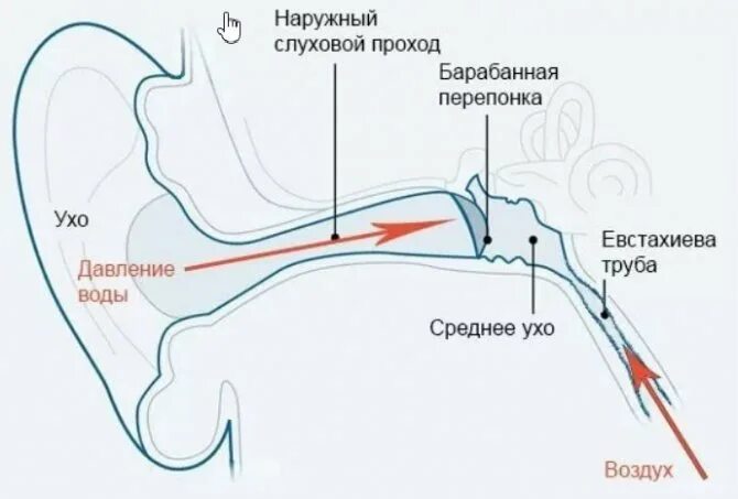 Процедура пароход. Евстахиева труба продувание.