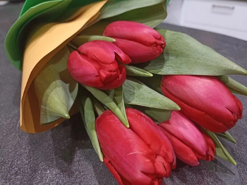 сколько дарят тюльпанов на 8. тюльпаны которые дарили. сколько дарят тюльпанов на 8. тюльпаны подарок на кухне. букет тюльпанов в коробке.