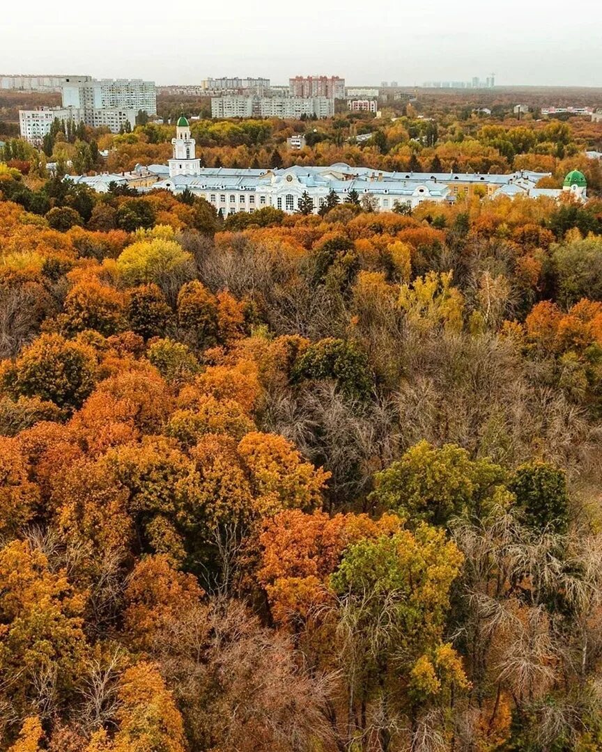 Куз воронеж. Парк Глинки Воронеж. Парк Глинки ВГАУ. Парк Глинки Воронеж СХИ. Парк Воронеж СХИ осень.