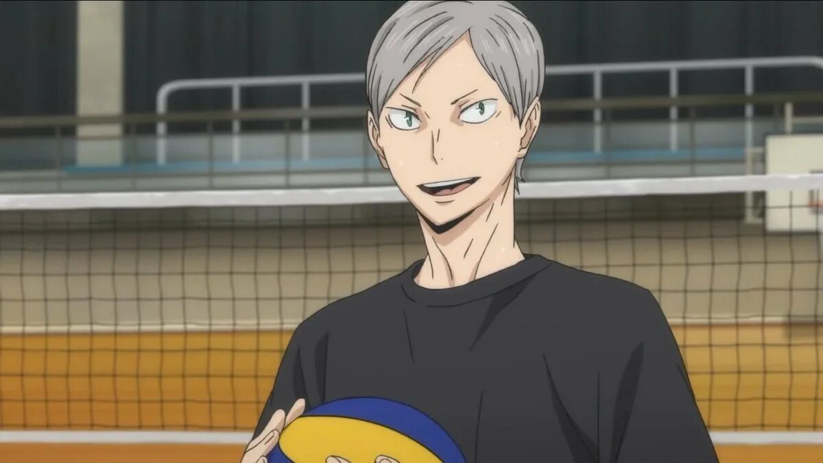 Львы про волейбол. Лев хайба волейбол. лев хайба скрины.