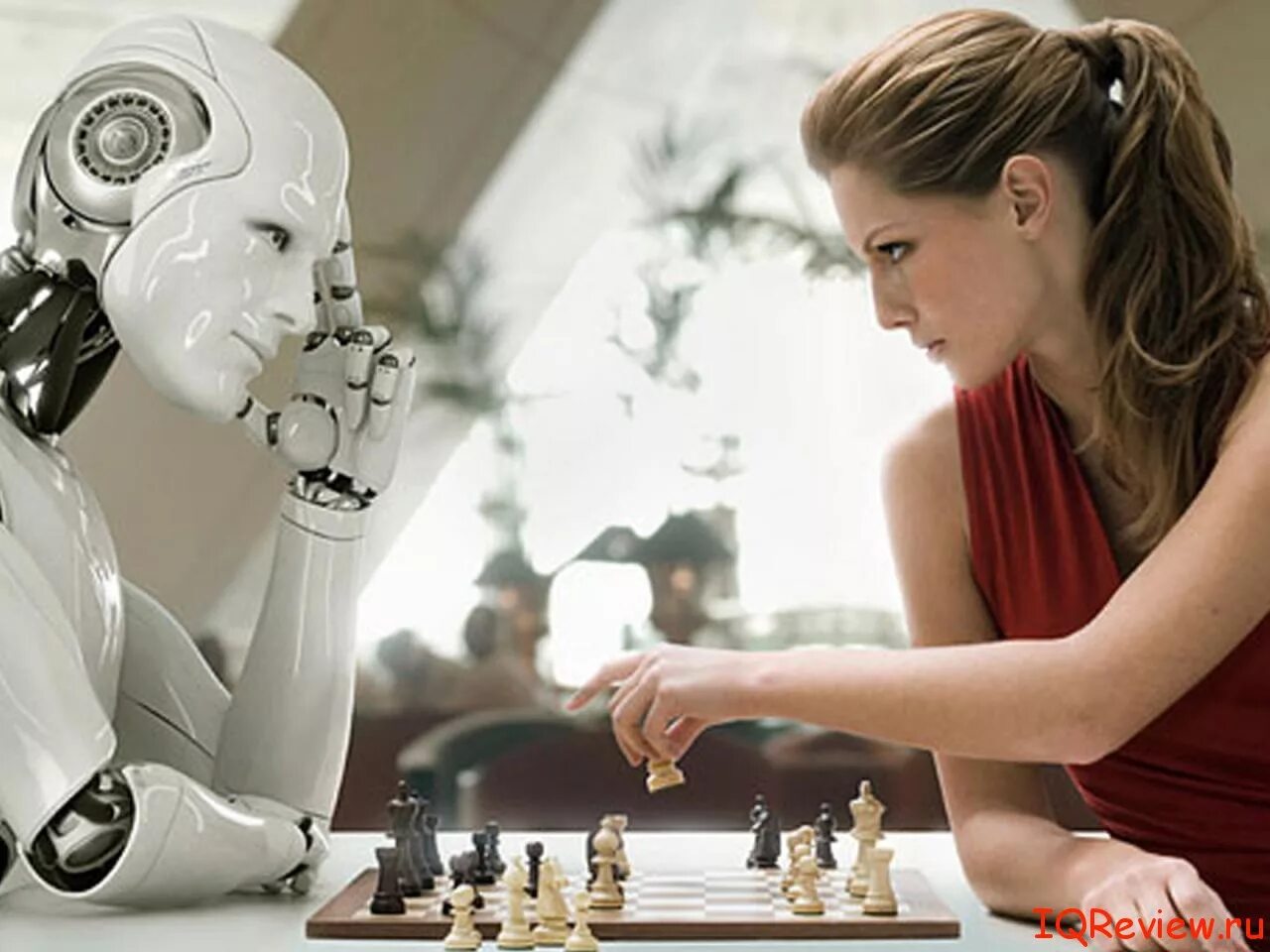 Роботы андроиды девушки. Робот человек. Роботы будущего. Фотографии роботов. Красивый робот.
