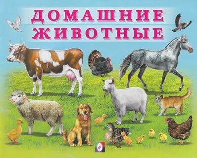 Проект доу домашние животные